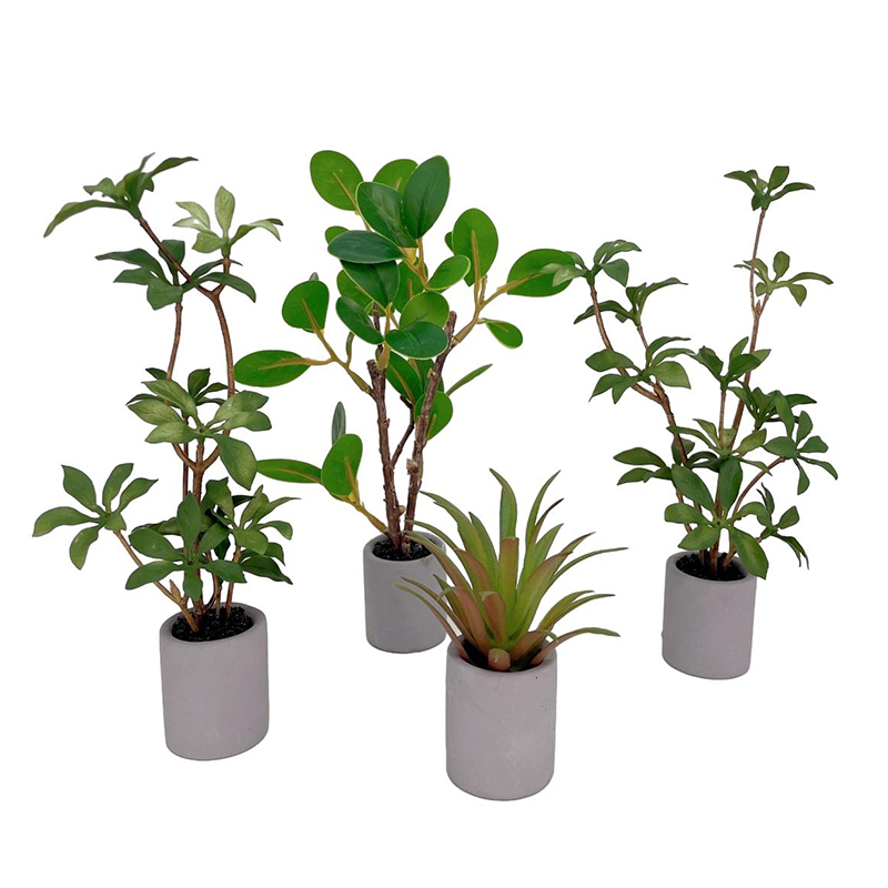 Bonsai Garden Pot - Planta en maceta en miniatura para