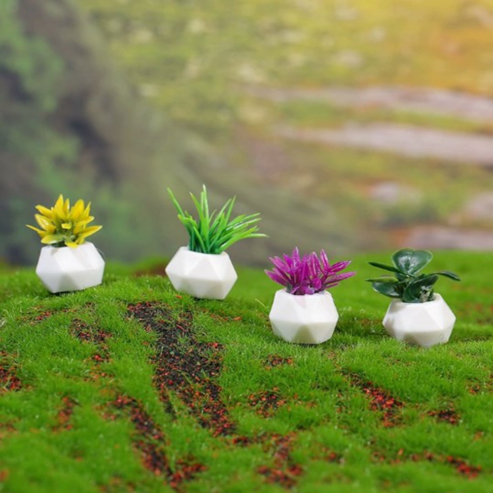 Bonsai Garden Pot - Planta en maceta en miniatura para