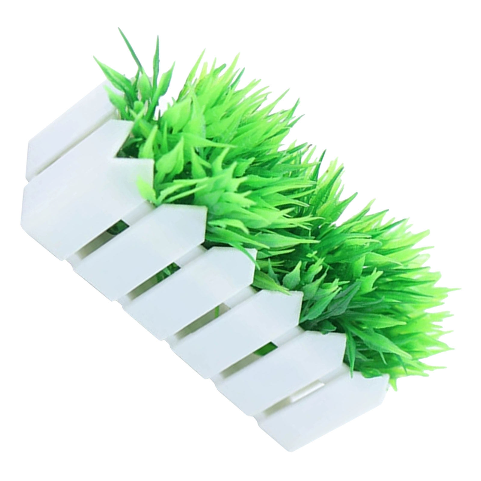 Bonsai Garden Wall - Plantas Suculentas y Bonsáis en Miniatura