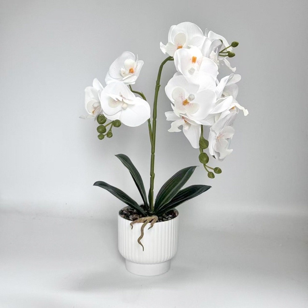 Orquídea Mariposa Artificial M - Bonsai Garden Pot reseña y precio