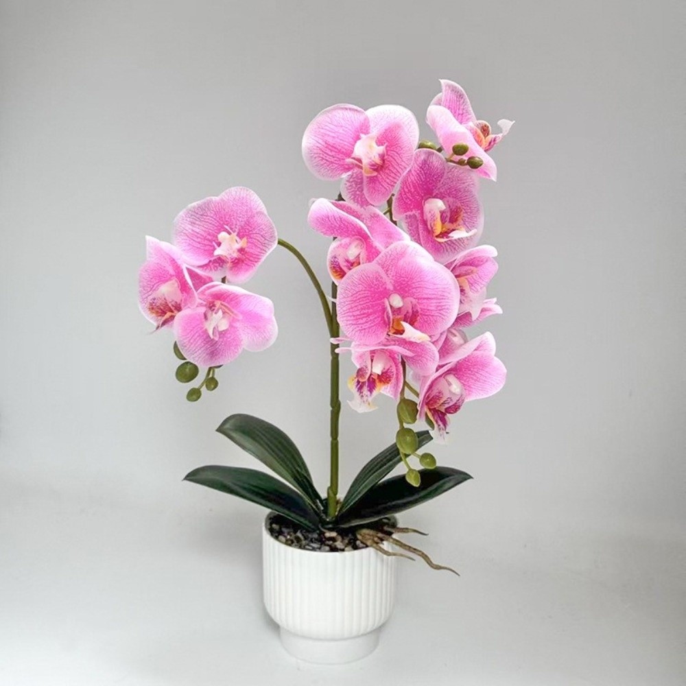Orquídea Mariposa Artificial M - Bonsai Garden Pot reseña y precio