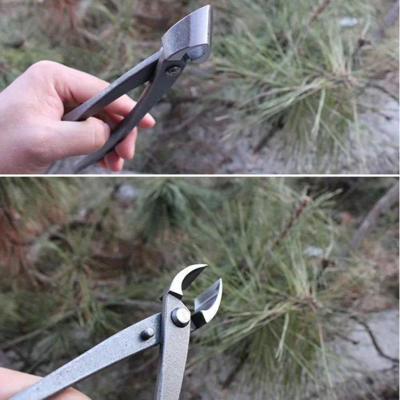 Cortador de perilla para bonsá - Concave Branch Cutter reseña y precio