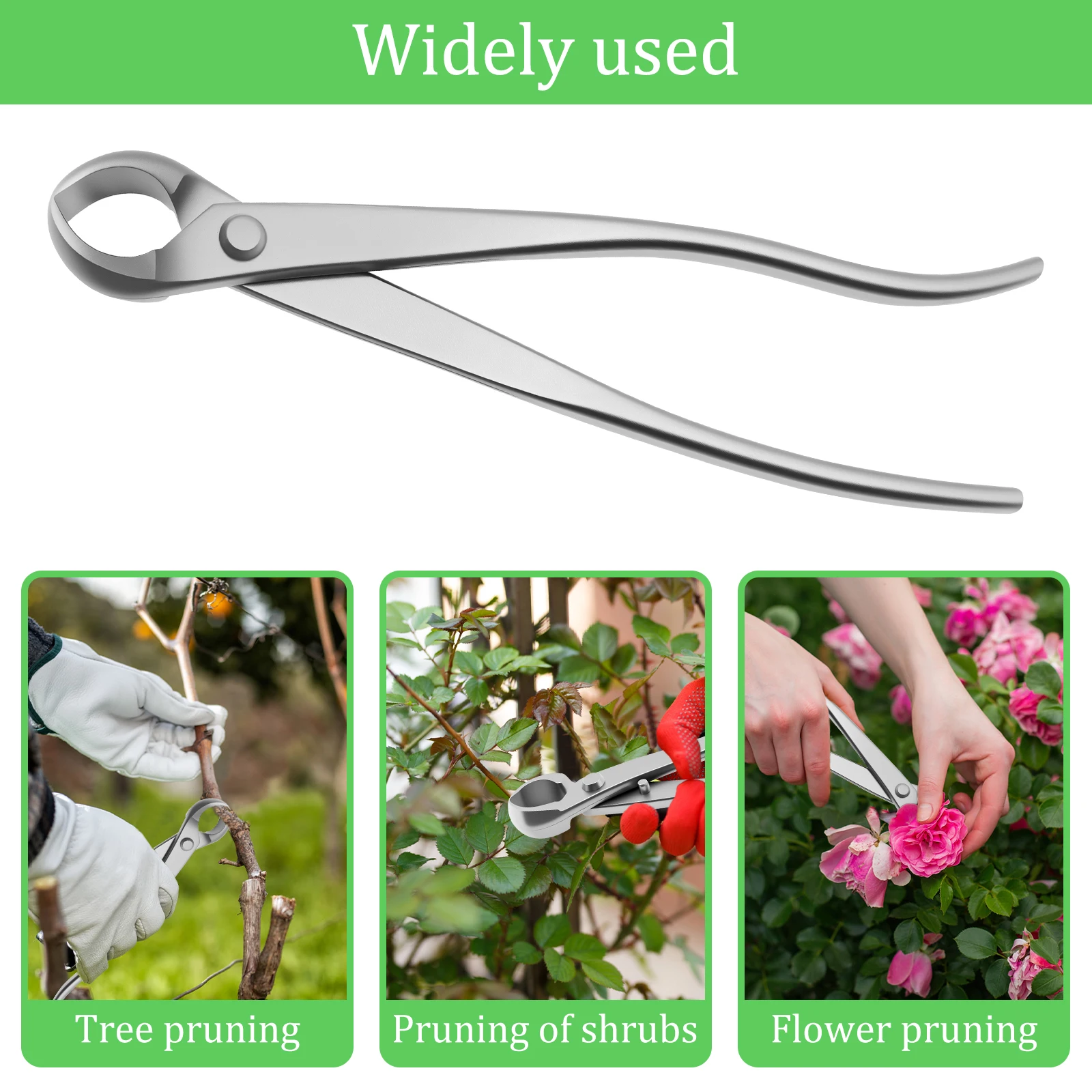 Kit de aseo para bonsái 2026,  - Bonsai Garden Timings reseña y precio