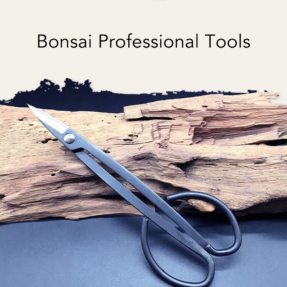 Tijeras para bonsái de acero i - Concave Branch Cutter reseña y precio