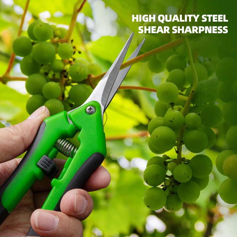 Tijeras de Podar de 7 Pulgadas - Bonsai Garden Timings reseña y precio