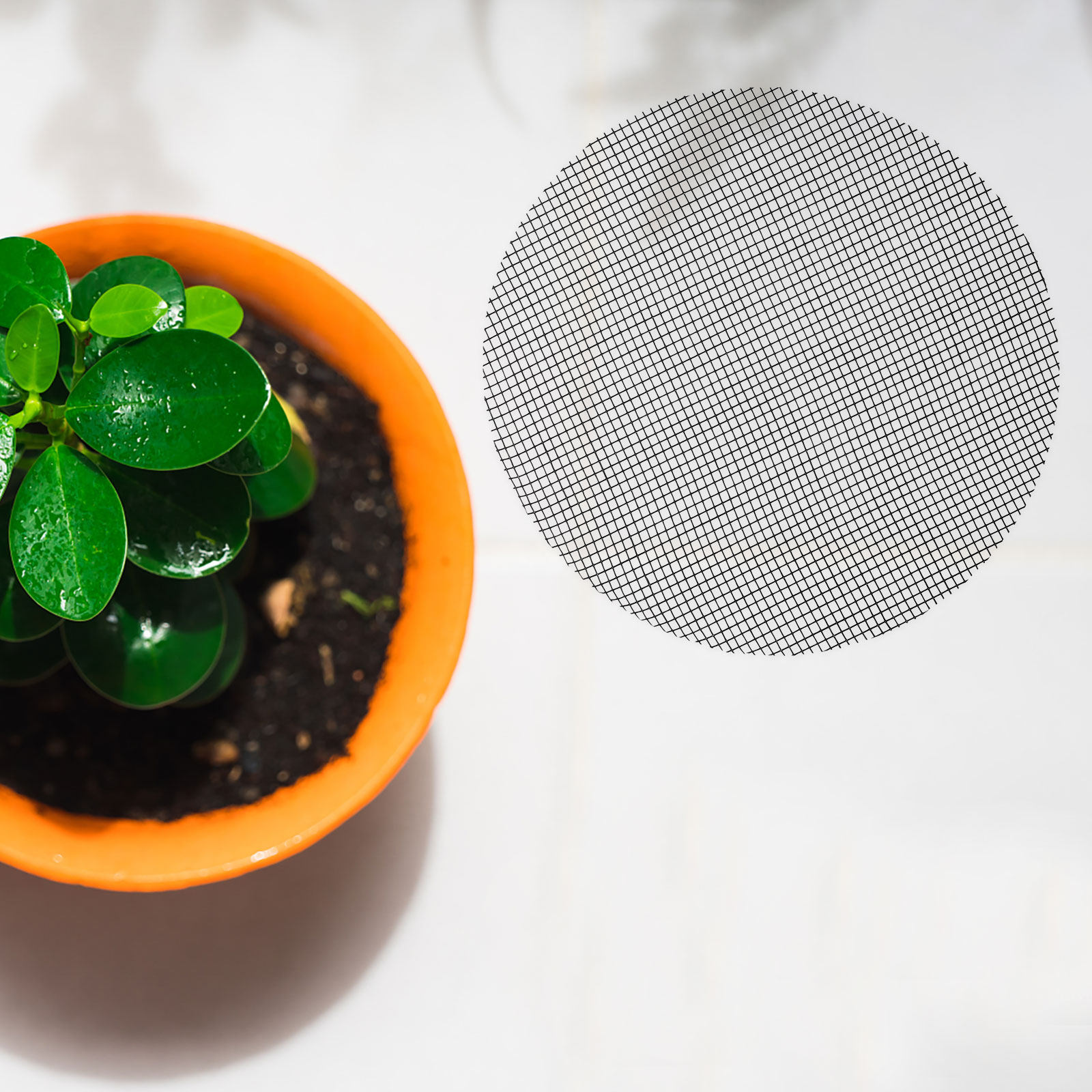 50 Piezas de Malla Redonda par - Bonsai Garden Pot reseña y precio