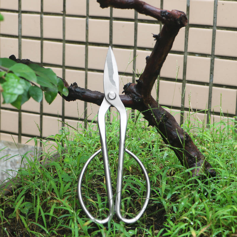 Tijeras de jardín totalmente d - Concave Branch Cutter reseña y precio