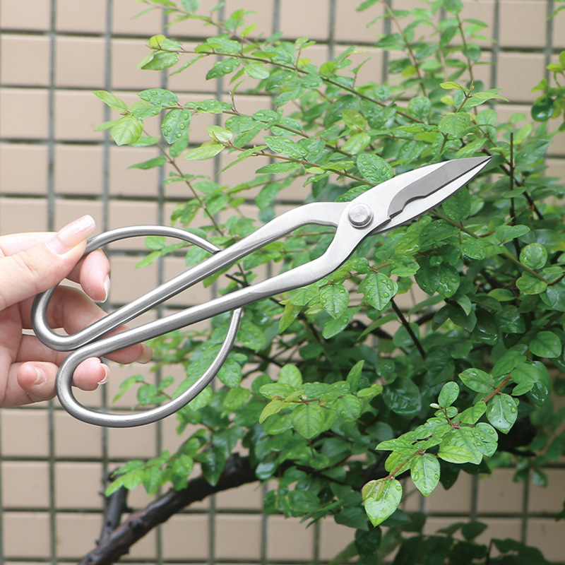 Tijeras de jardín totalmente d - Concave Branch Cutter reseña y precio