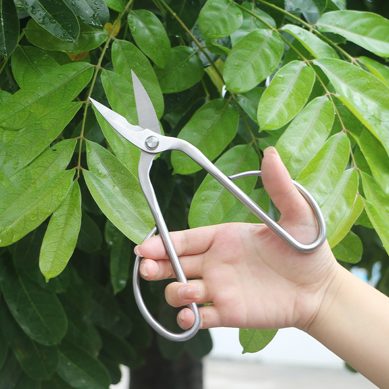 Tijeras de jardín totalmente d - Concave Branch Cutter reseña y precio