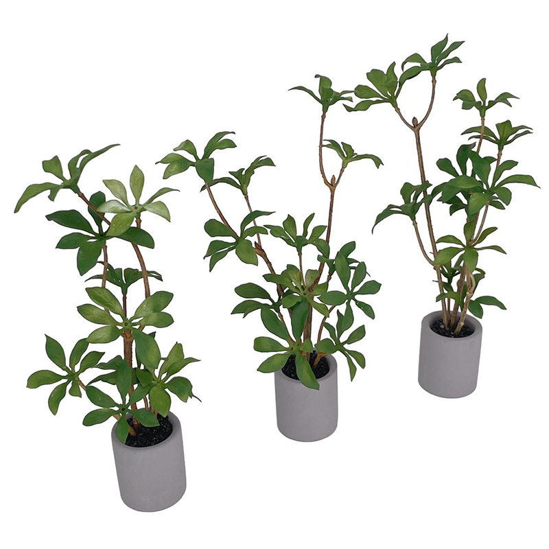 Planta en maceta en miniatura  - Bonsai Garden Pot reseña y precio