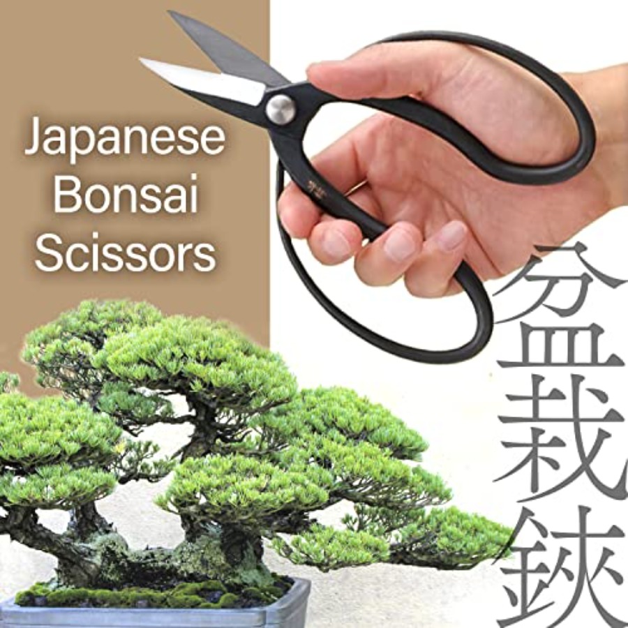 Tijeras Japonesas para Bonsái  - Bonsai Garden Japan reseña y precio