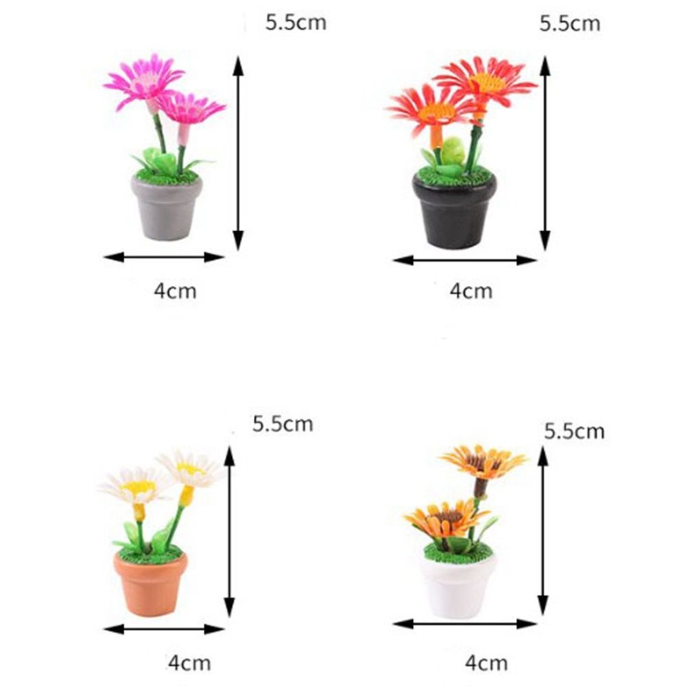 Planta en maceta en miniatura  - Bonsai Garden Pot reseña y precio