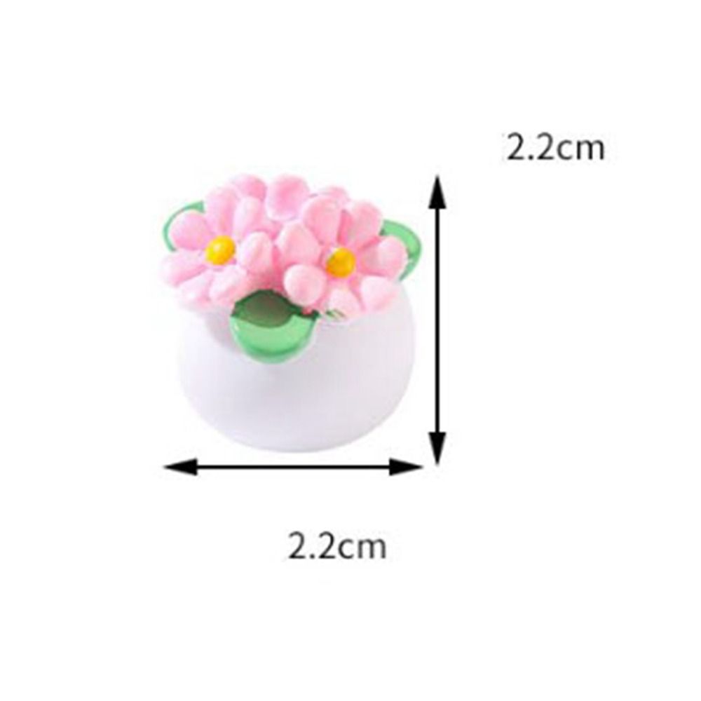 Planta en maceta en miniatura  - Bonsai Garden Pot reseña y precio