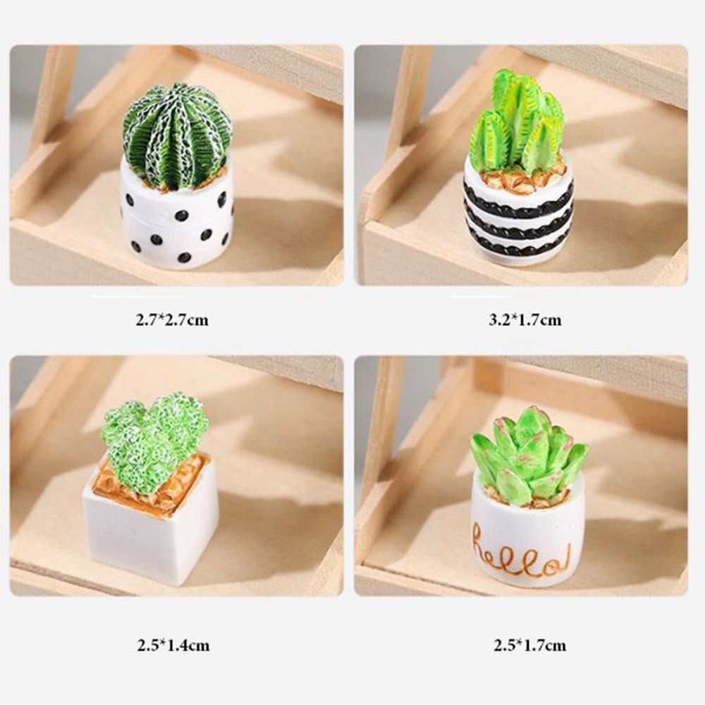 Planta en maceta en miniatura  - Bonsai Garden Pot reseña y precio