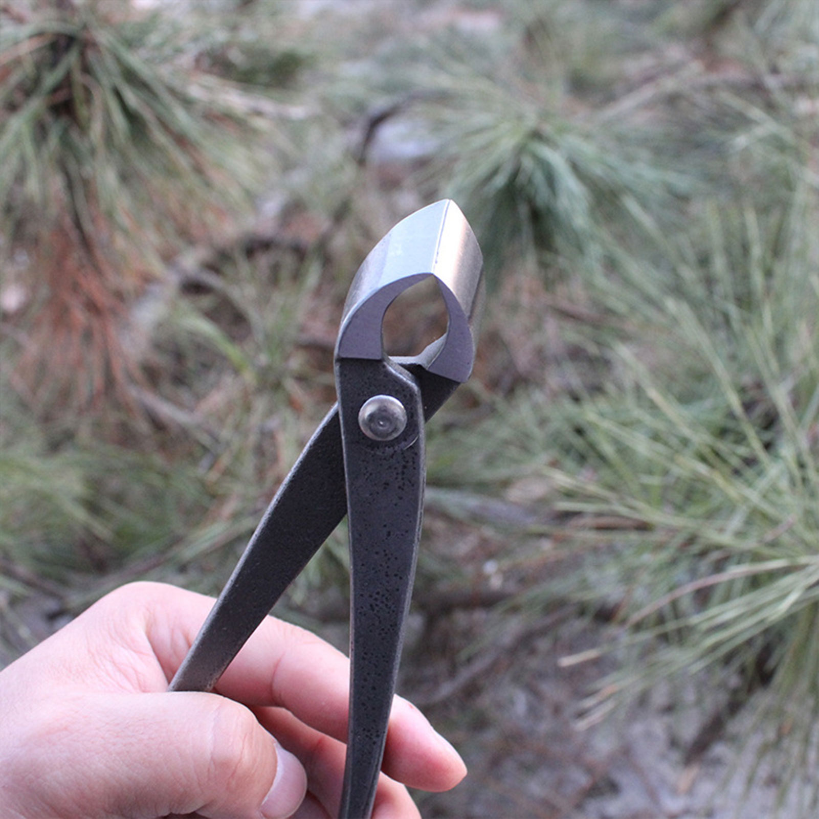 Cortador de perilla para bonsá - Concave Branch Cutter reseña y precio