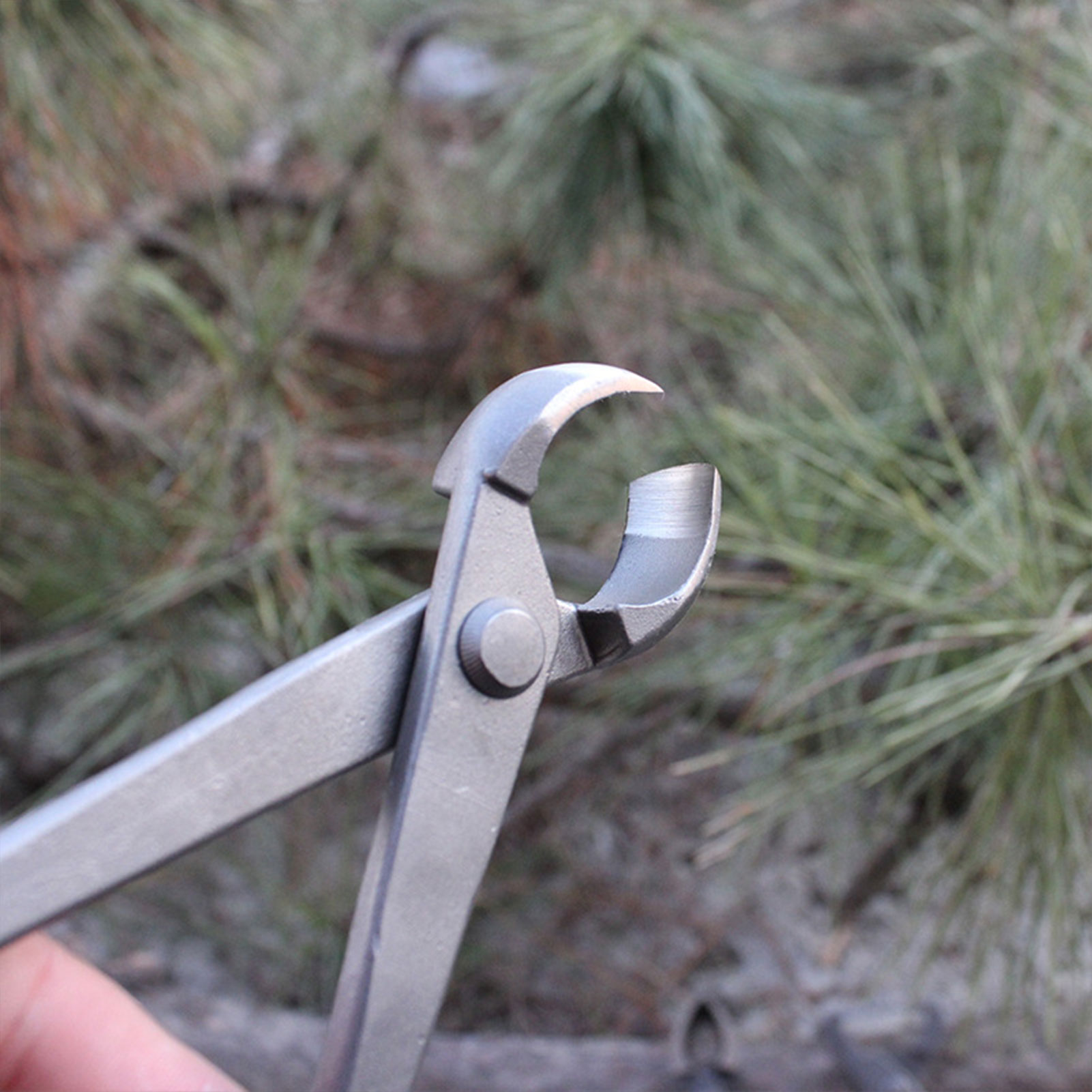 Cortador de perilla para bonsá - Concave Branch Cutter reseña y precio