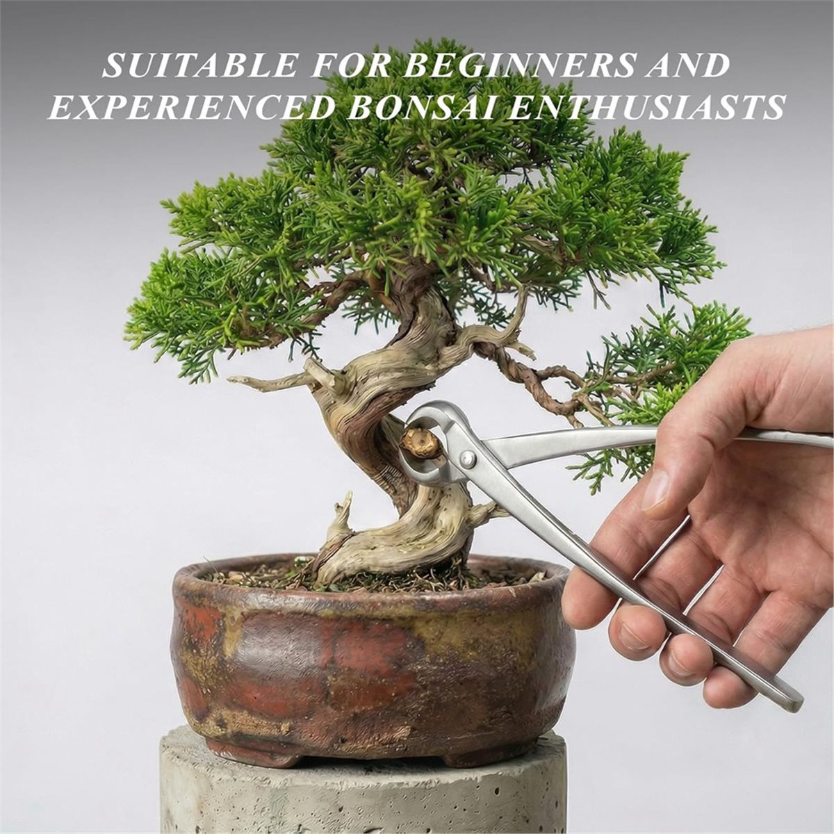 Juego de Herramientas para Bon - Concave Branch Cutter reseña y precio