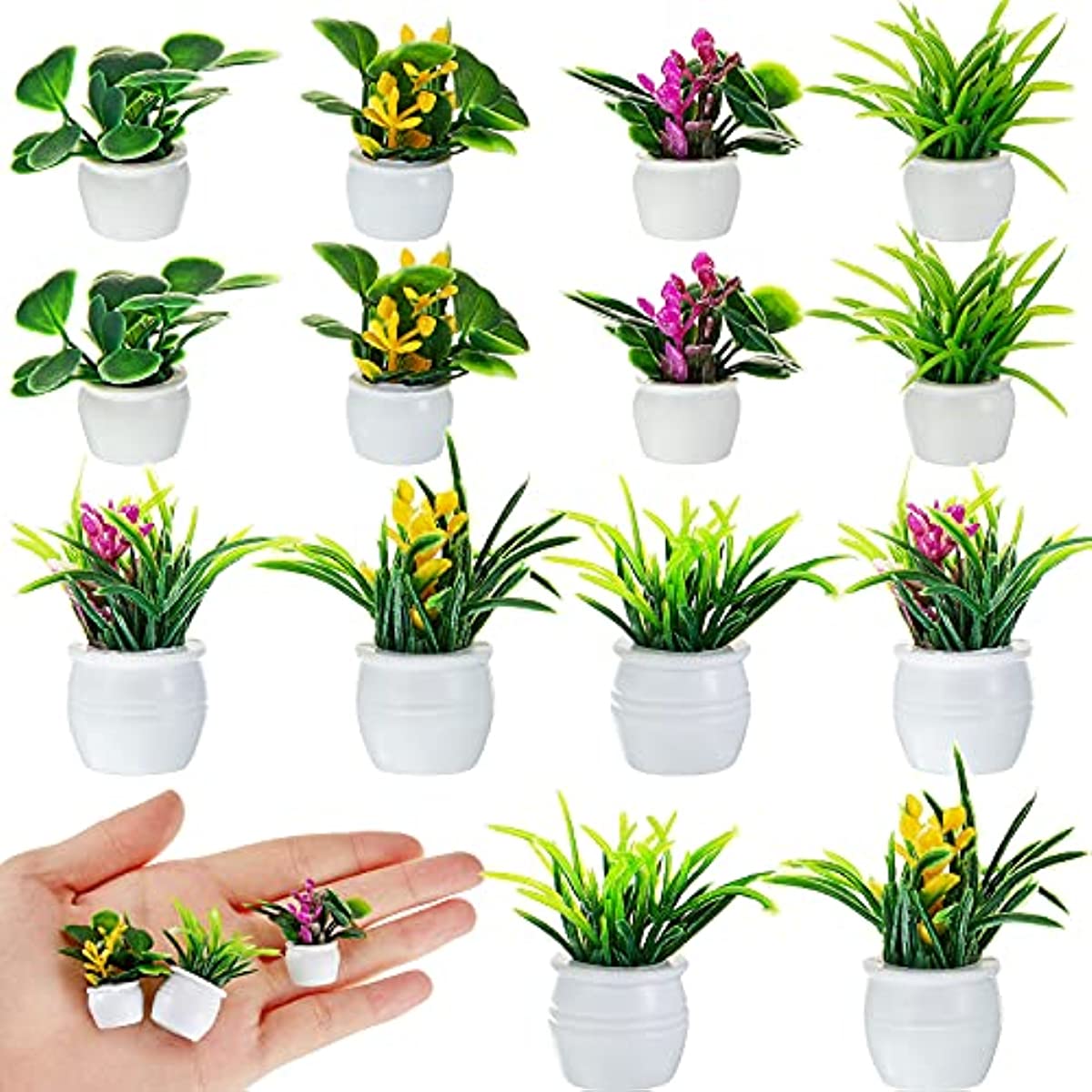 Planta de casa de muñecas, pla - Bonsai Garden Pot reseña y precio