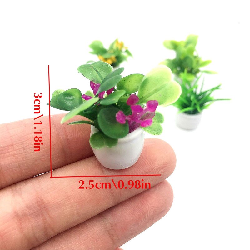 Planta de casa de muñecas, pla - Bonsai Garden Pot reseña y precio