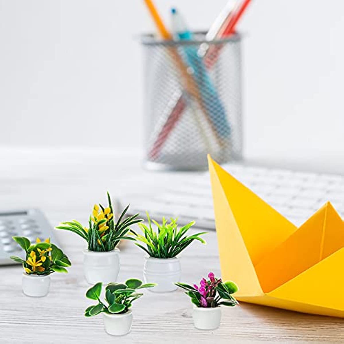 Planta de casa de muñecas, pla - Bonsai Garden Pot reseña y precio