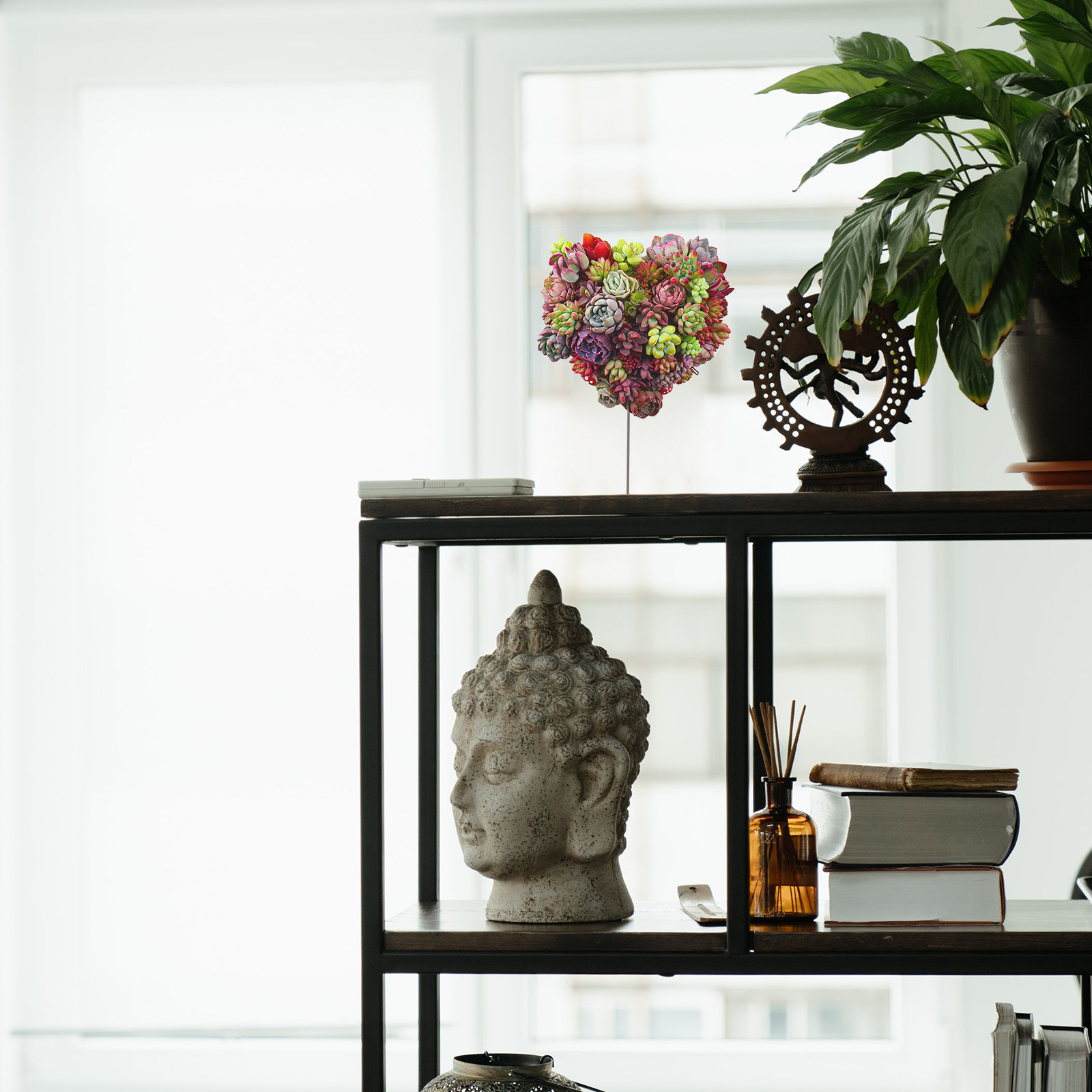 Soporte de Pared para Plantas  - Bonsai Garden Wall reseña y precio