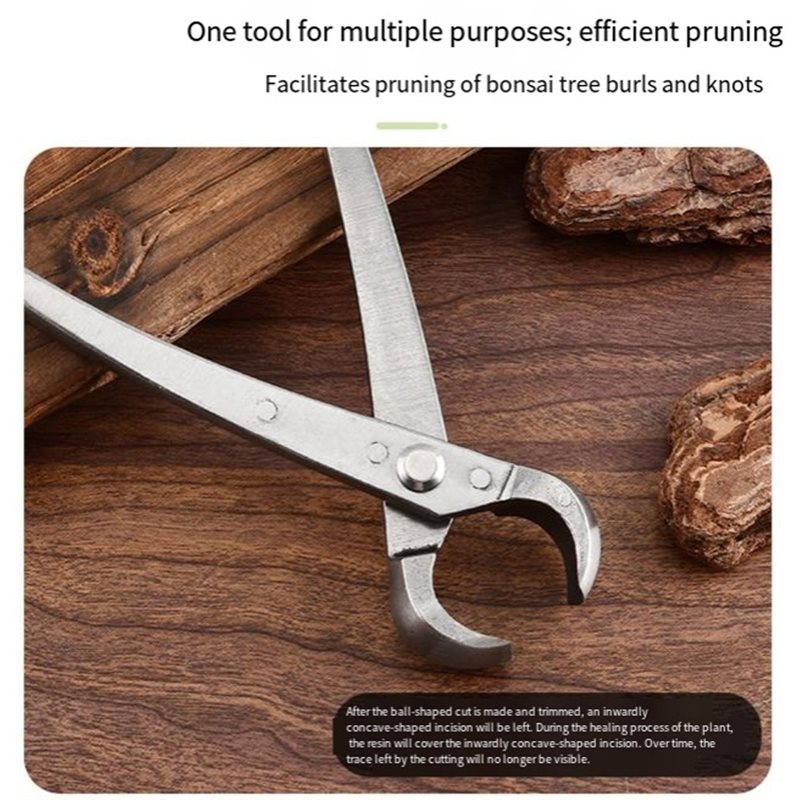 Herramientas para árboles bons - Root Hook Tool reseña y precio