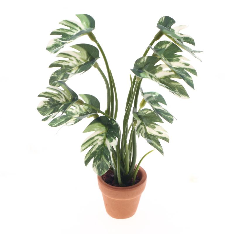 Nuevo. 1 unidad. Planta verde  - Bonsai Garden Pot reseña y precio