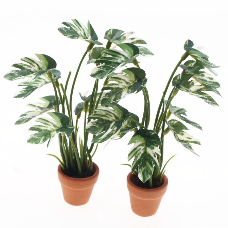 Nuevo. 1 unidad. Planta verde  - Bonsai Garden Pot reseña y precio
