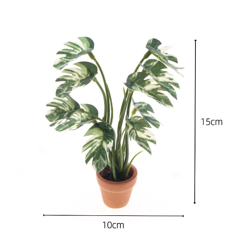 Nuevo. 1 unidad. Planta verde  - Bonsai Garden Pot reseña y precio