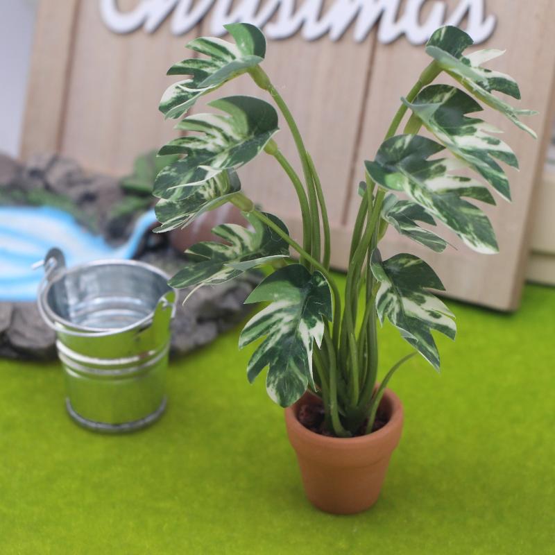 Nuevo. 1 unidad. Planta verde  - Bonsai Garden Pot reseña y precio