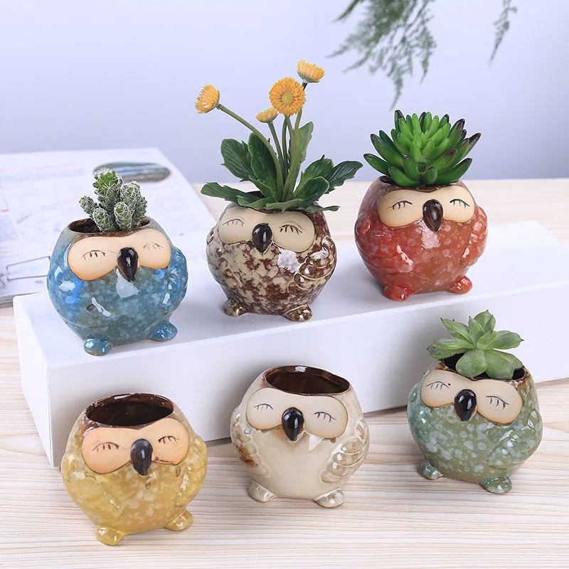 Mini Maceta de Cerámica con Fo - Bonsai Garden Wall reseña y precio