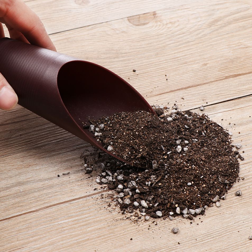 Pala de suelo de plástico para - Bonsai Garden Pot reseña y precio
